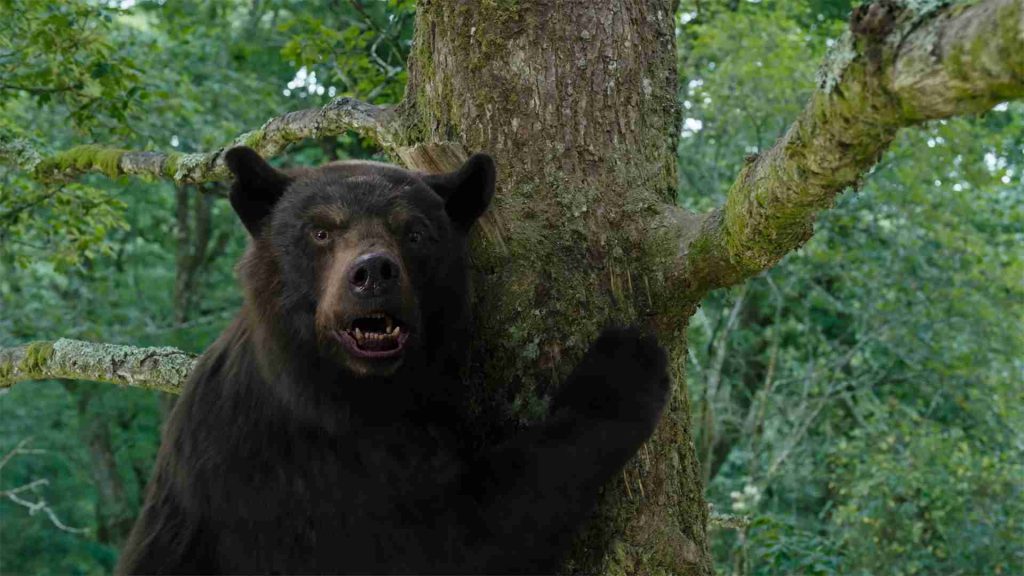 O Urso do Pó Branco